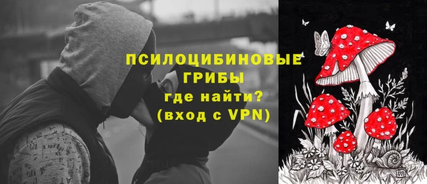 эйфоретик Магадан